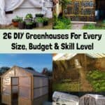 26 DIY Greenhouses For Every Size, Budget & Skill Level