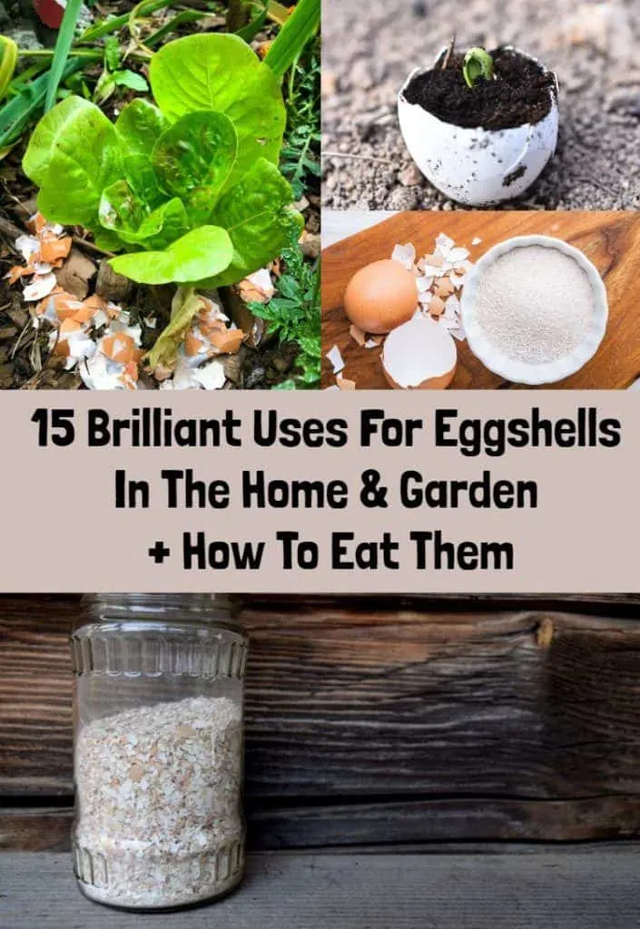 15 Brilliant Uses For Eggshells In The Home & Garden + How To Eat Them