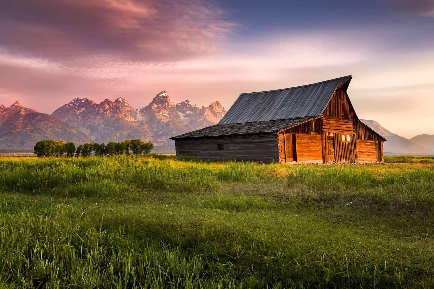 10 Reasons To Leave The City & Move To A Homestead
