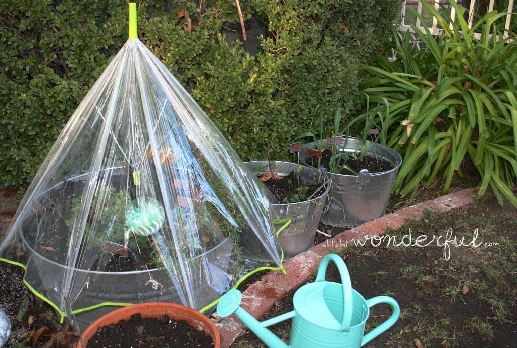 27 DIY Greenhouses For Every Size, Budget & Skill Level