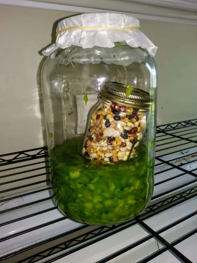 Homemade bok choy sauerkraut