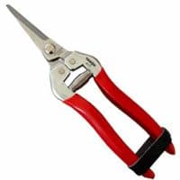 TABOR TOOLS Pruning Shears, Florist Scissors, Multi-Tasking Garden Snips for Arranging Flowers, Trimming Plants and Harvesting Herbs, Fruits or Vegetables. K17A. (Straight, Stainless Steel Blades) 