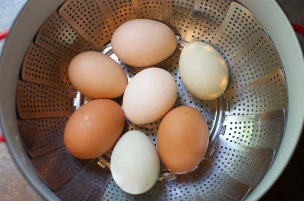 Eggs placed in steamer basket ready to steam