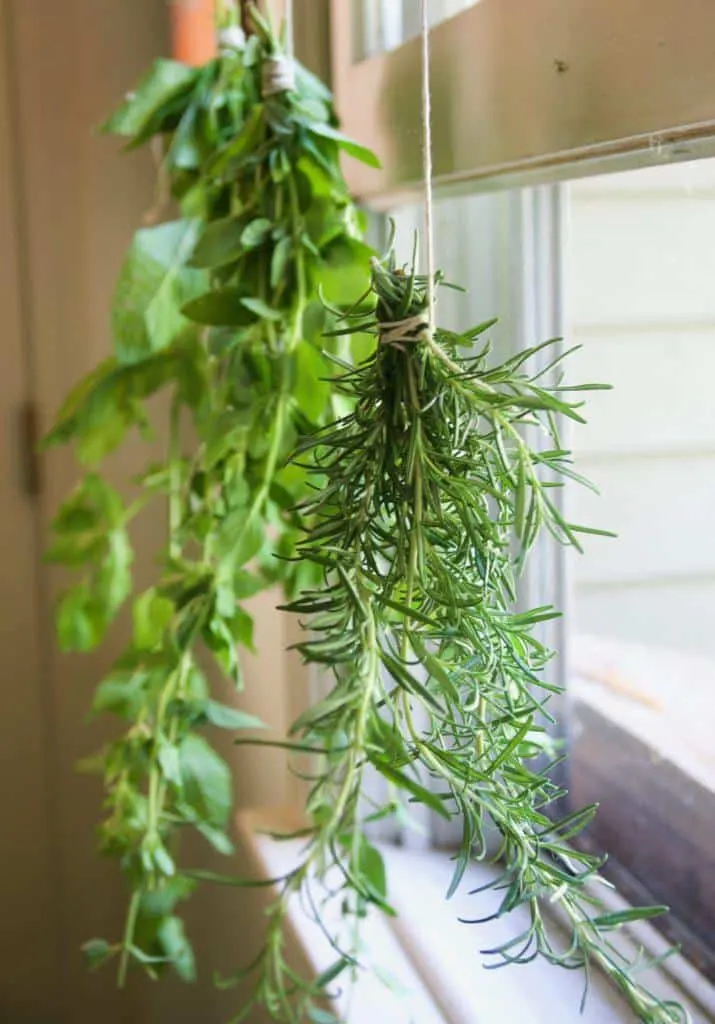 Hanging the herbs to dry in a well ventilated room