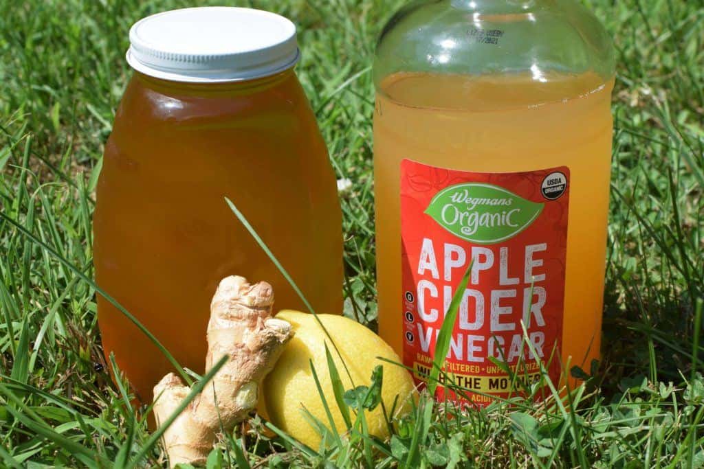 Traditional switchel ingredients- raw honey, apple cider vinegar, lemon and ginger. 