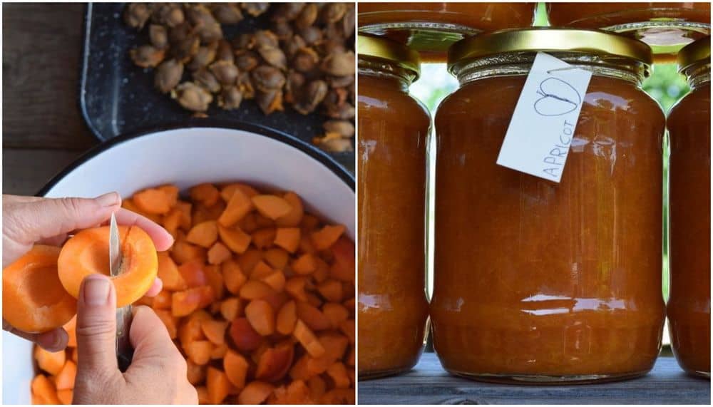 How To Make Apricot Jam Without Sugar