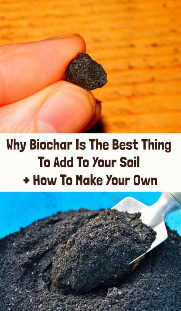 Why Biochar Is The Best Thing To Add To Your Soil + How To Make Your Own