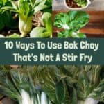 10 Ways To Use Bok Choy That's Not A Stir Fry