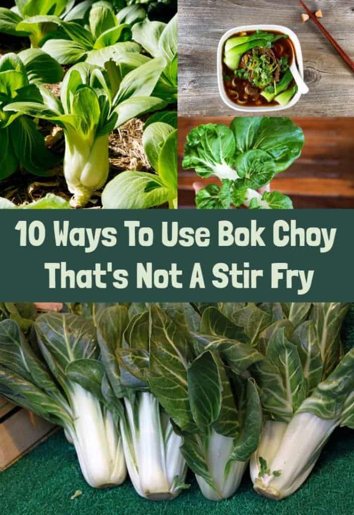 10 Ways To Use Bok Choy That's Not A Stir Fry
