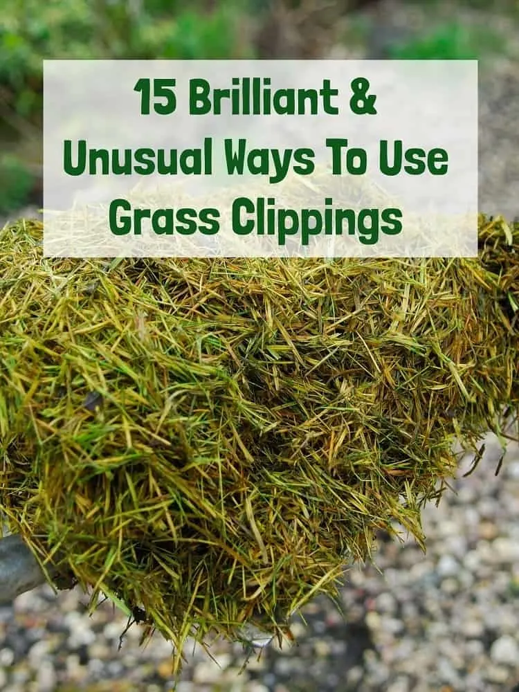 15 Brilliant & Unusual Ways To Use Grass Clippings 