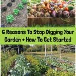 6 Reasons To Stop Digging Your Garden + How To Get Started