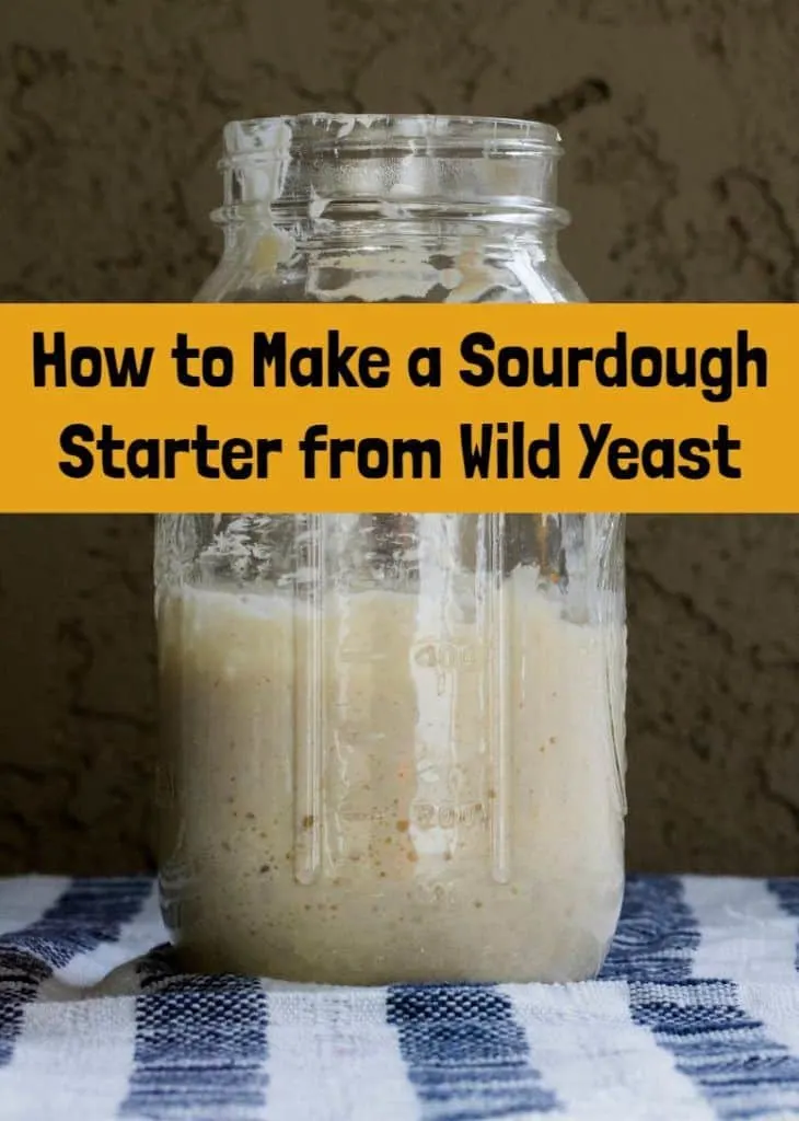 How to Make a Sourdough Starter from Wild Yeast