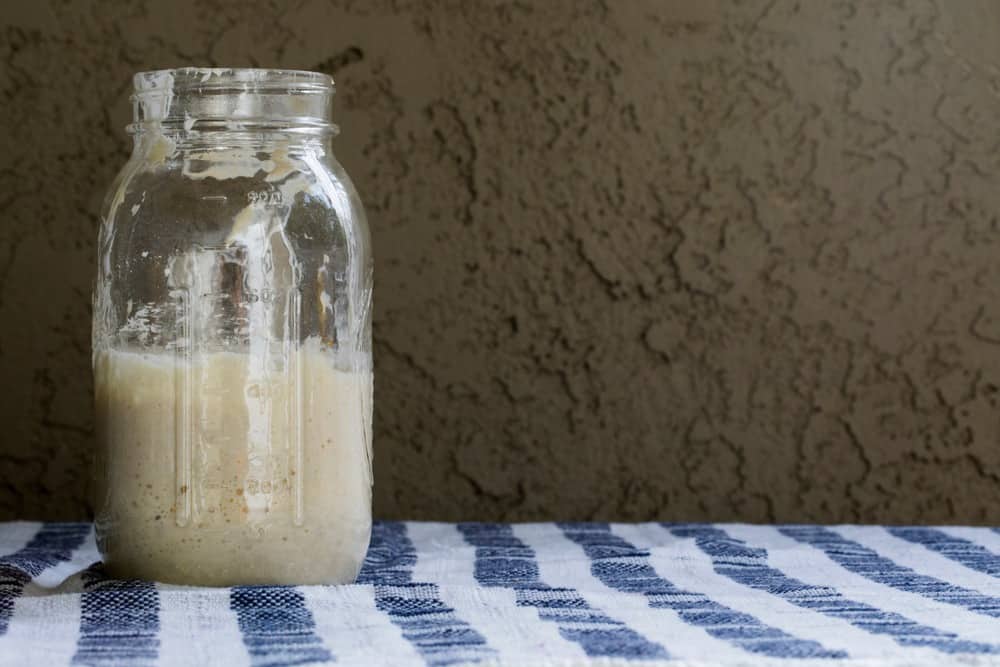 Wild yeast sourdough starter in a glass jar.