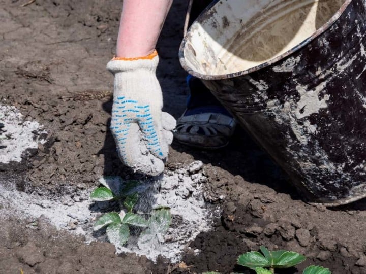 45-practical-wood-ash-uses-in-the-home-garden