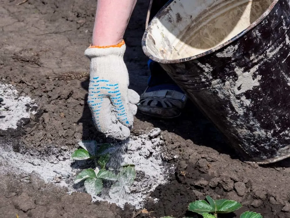 46 Practical Uses For Wood Ash Around the Home and Garden