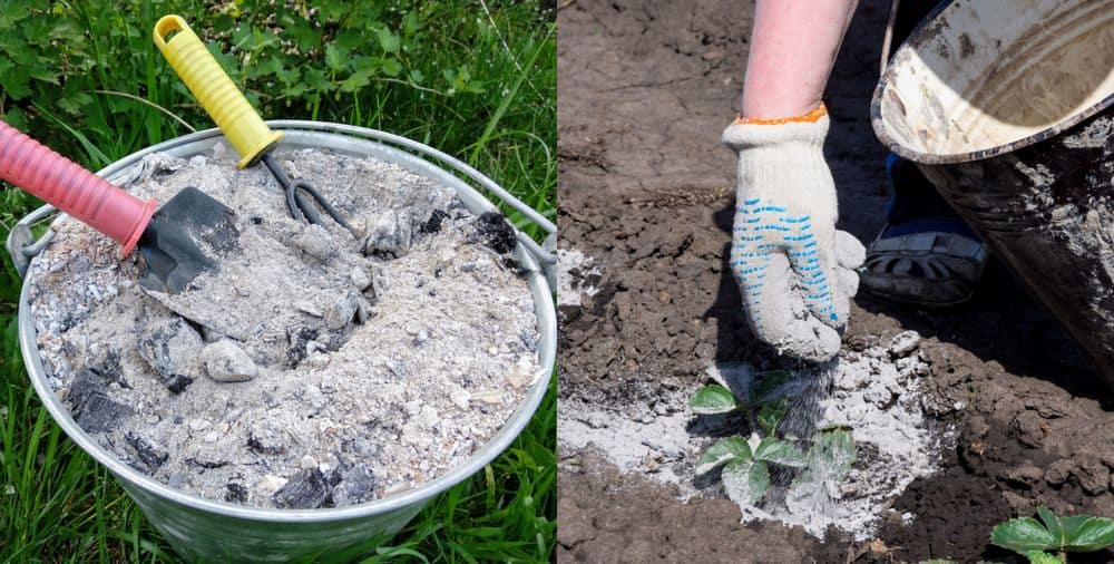 45 Practical Uses For Wood Ash Around The Home And Garden