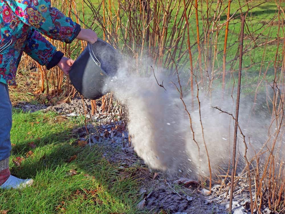 45 Practical Uses For Wood Ash Around the Home and Garden