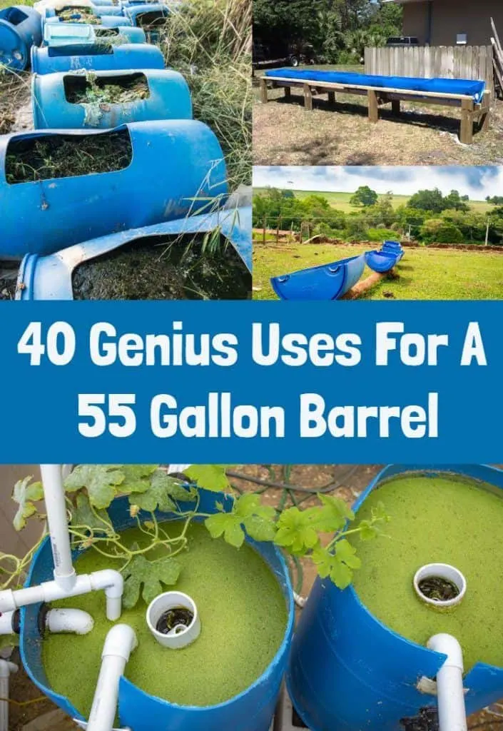 40 Genius Uses For a 55 Gallon Barrel