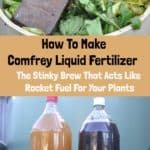 The Stinky Brew That Acts Like Rocket Fuel For Your Plants