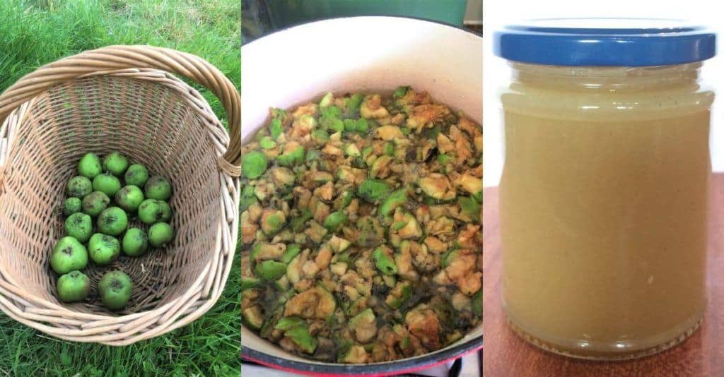 How To Make Natural Pectin From Unripe Windfall Apples