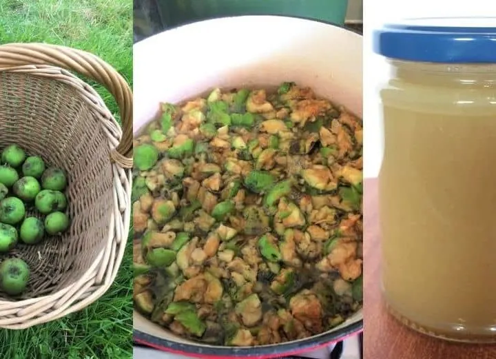 How To Make Natural Pectin From Unripe Windfall Apples