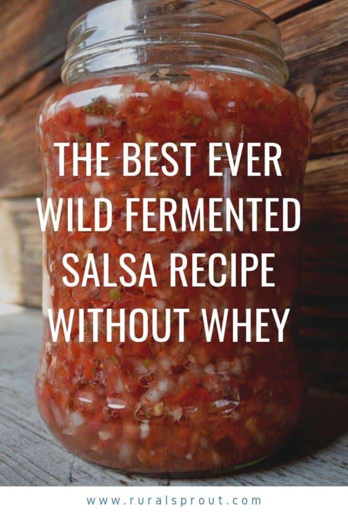 The Best Ever Wild Fermented Salsa Recipe Without Whey