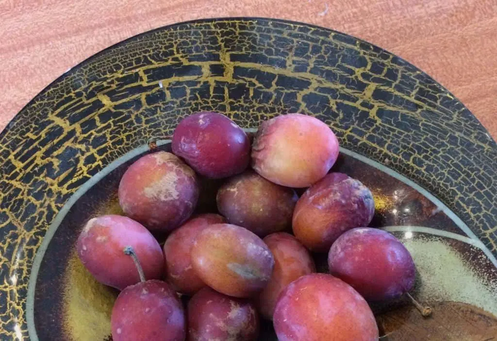 A dish of plums