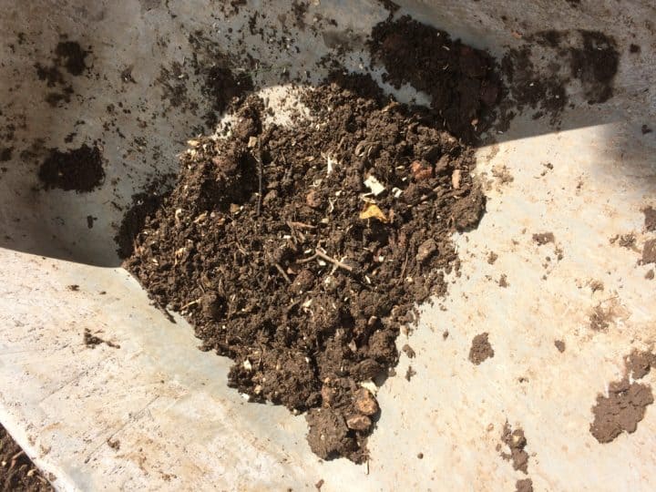 Picture of How To Make Compost Tea - A Powerful Liquid Feed For Your Plants