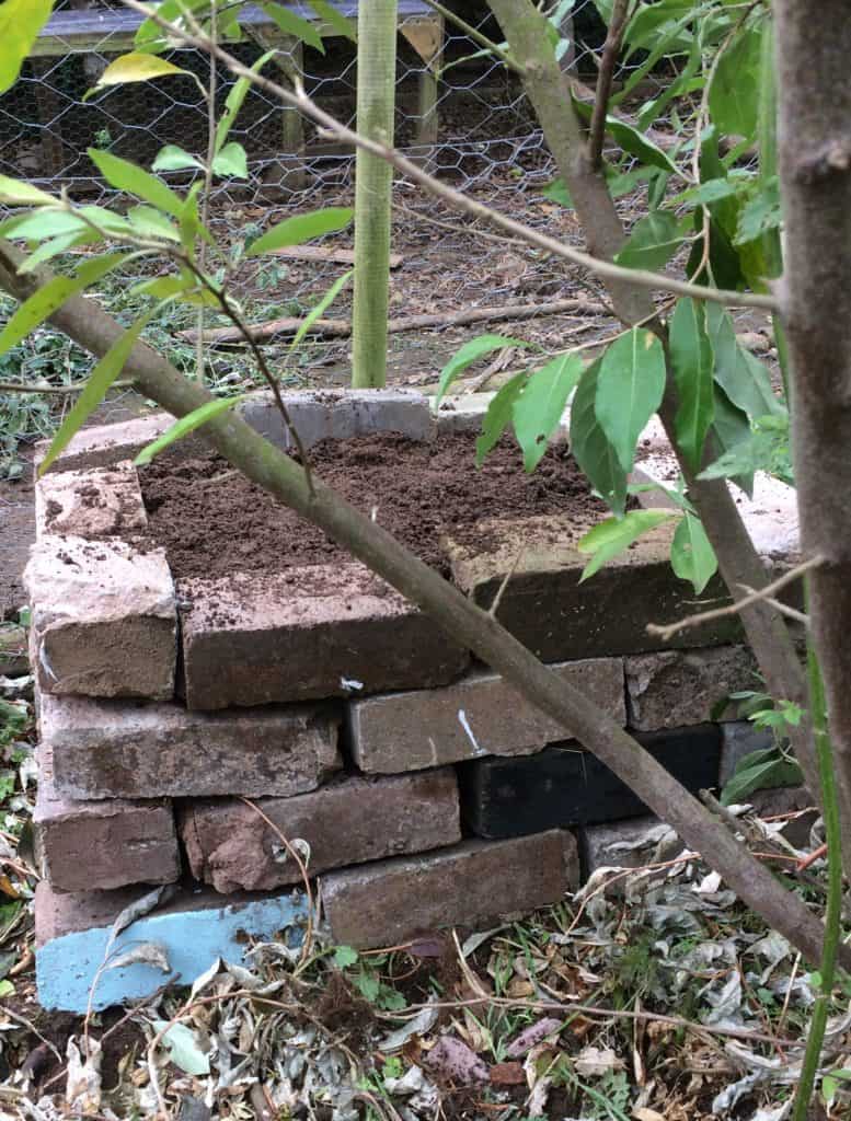 Newly constructed hotbed with bricks for sides.