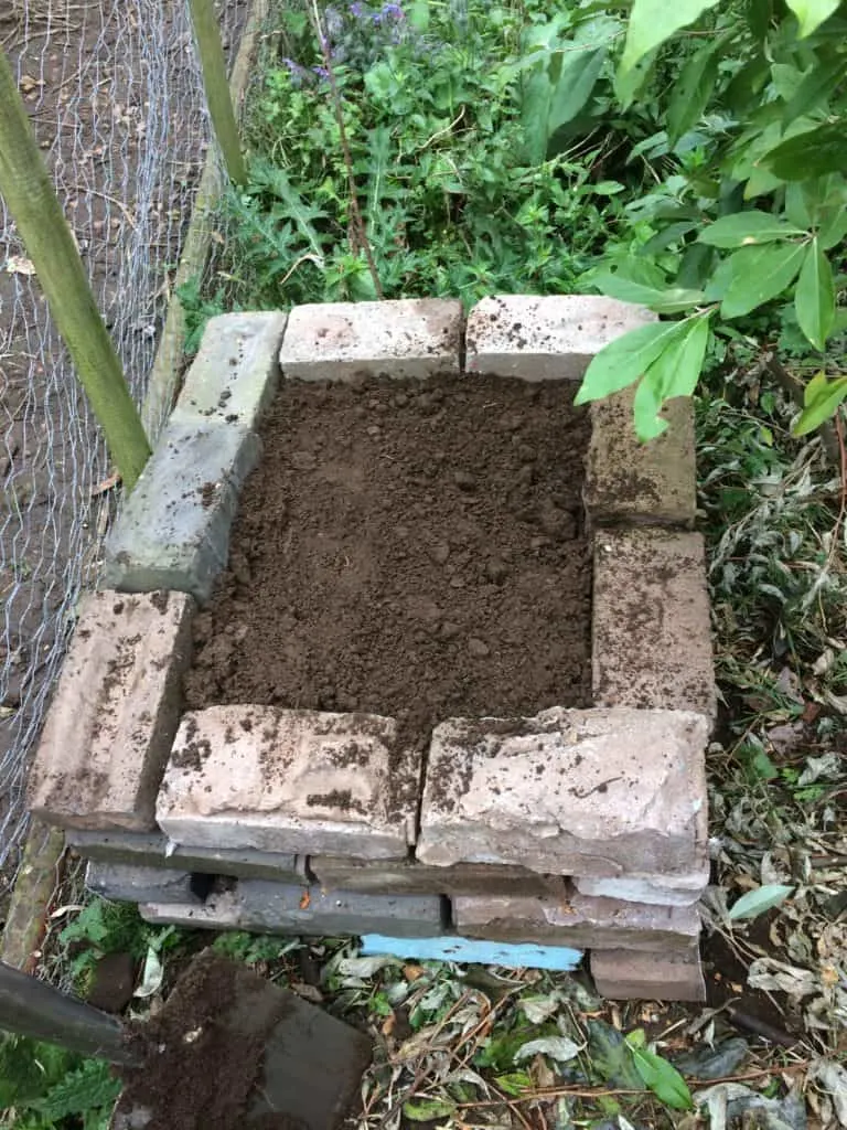 Growing medium of compost and soil added to hotbed.