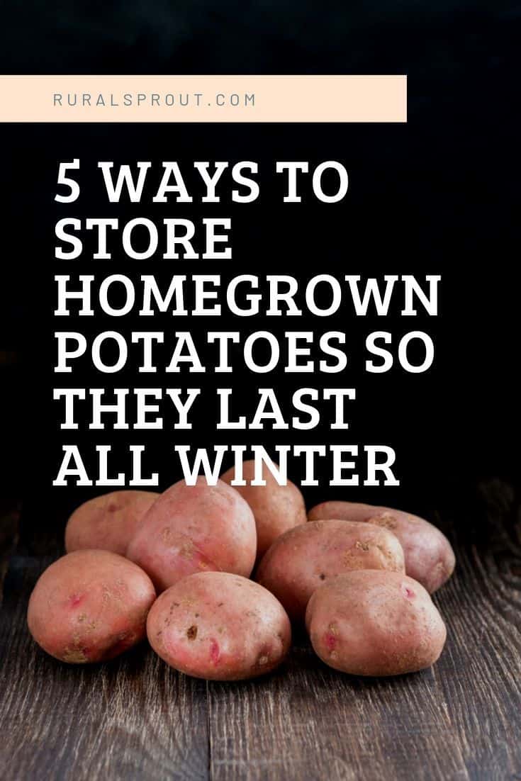 5 Ways To Store Potatoes So They Last For Months