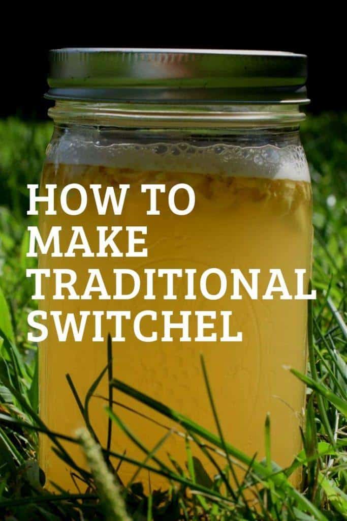 How To Make Traditional Switchel (Haymaker's Punch)