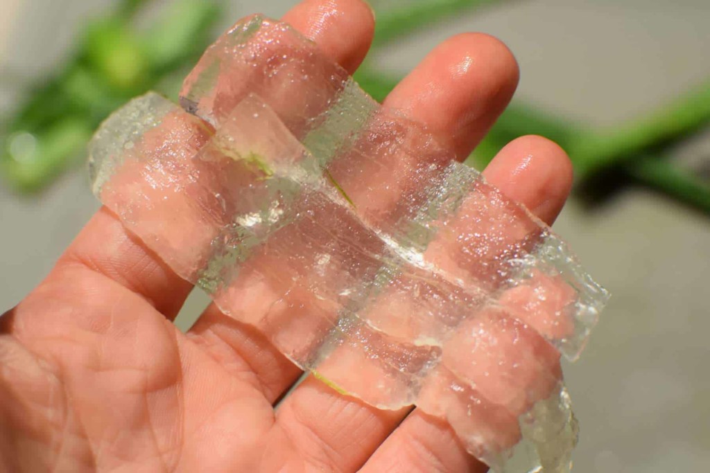 A hand holding three clear strips of aloe vera gel.