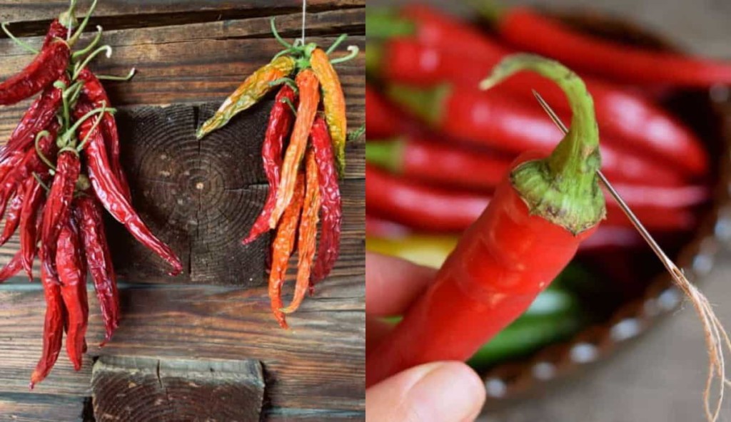 3 Easy Ways To Dry Hot Peppers