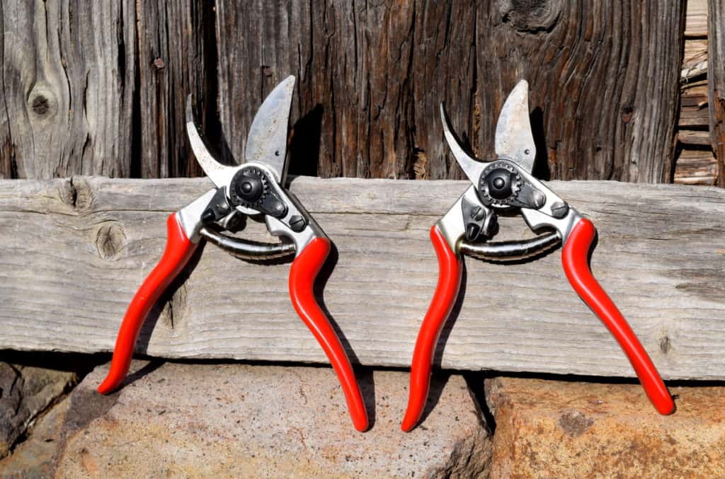 https://www.ruralsprout.com/wp-content/uploads/2019/10/felco-6-and-felco-8-with-different-grips-1024x677.jpg