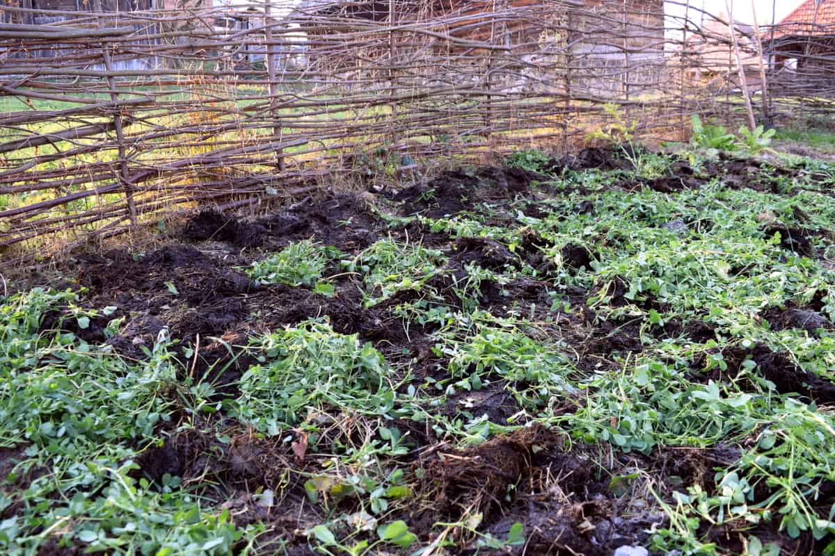 How To Prepare Your Garden Beds For Winter