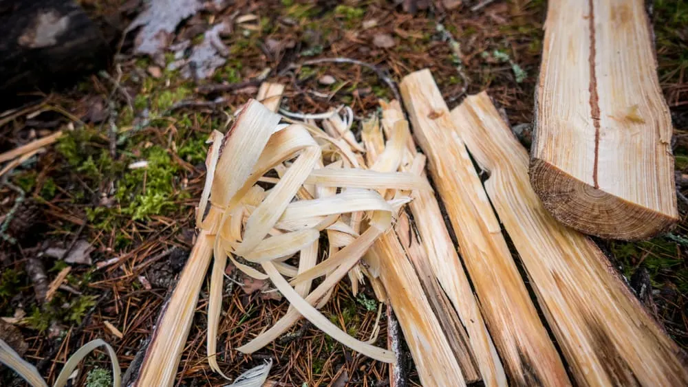 Kindling and tinder from fatwood pine