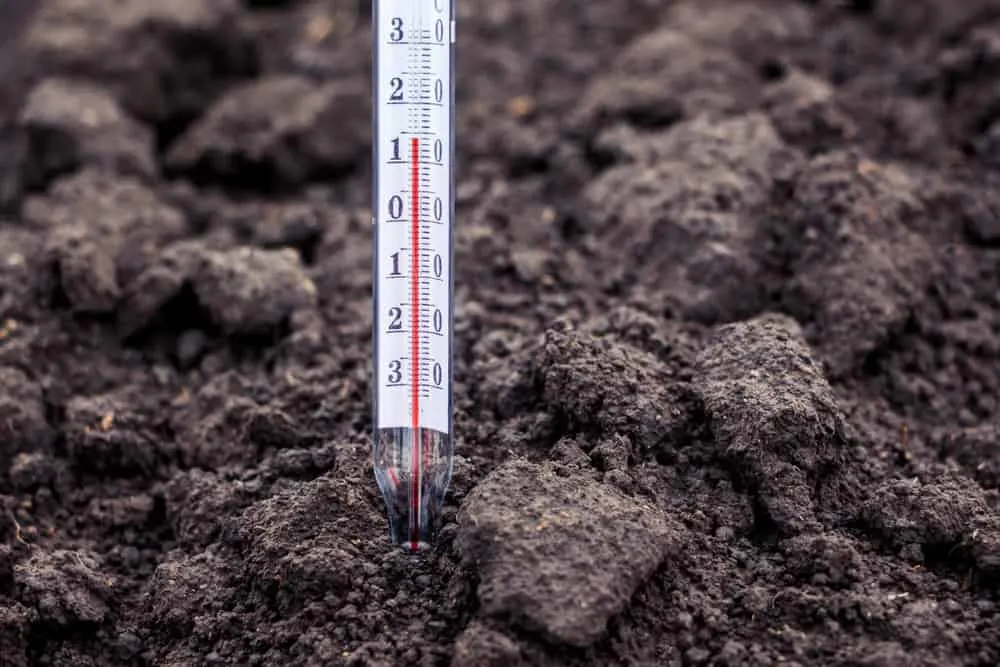 Thermometer in soil