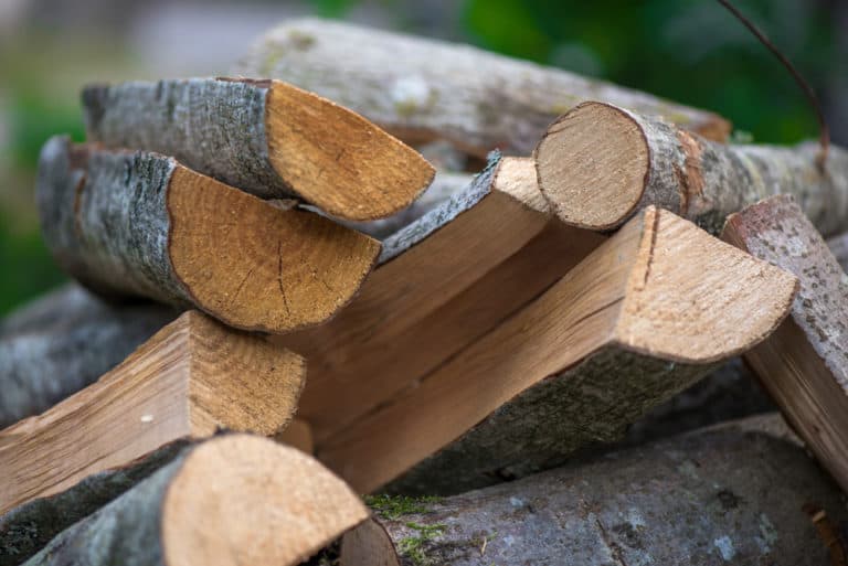 What's the Best Wood to Burn in Your Wood Stove?