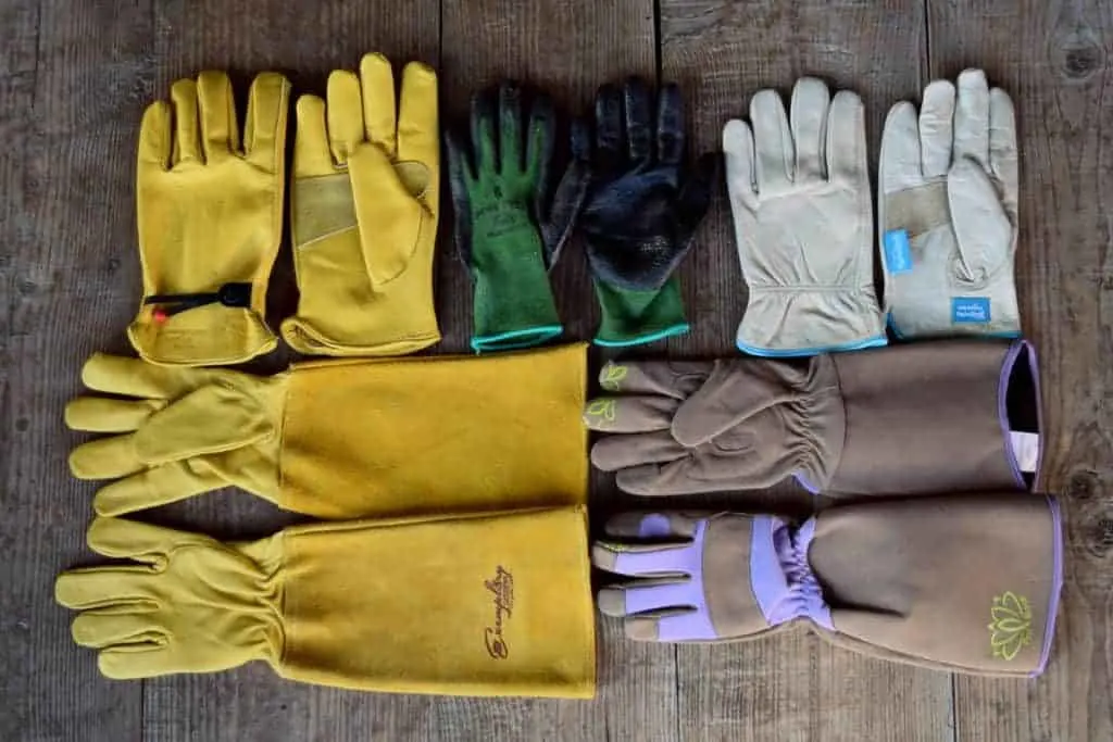 Several pairs of garden gloves