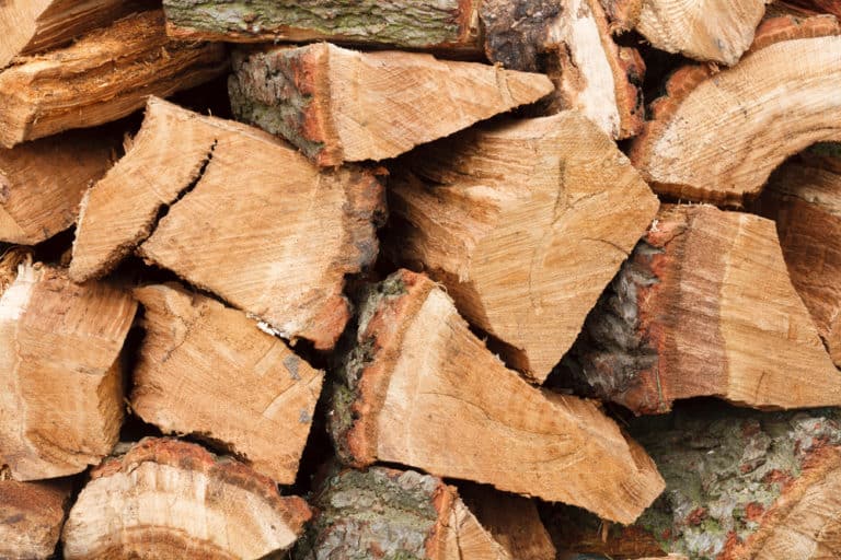 What's the Best Wood to Burn in Your Wood Stove?