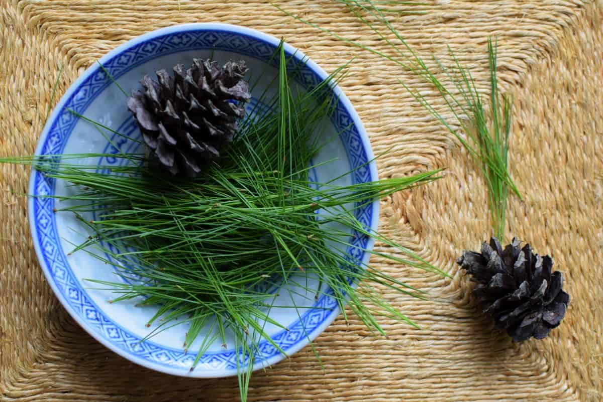 22 Impressive Pine Needle Uses You'd Never Have Thought Of