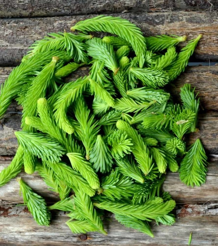 22 Impressive Pine Needle Uses You'd Never Have Thought Of