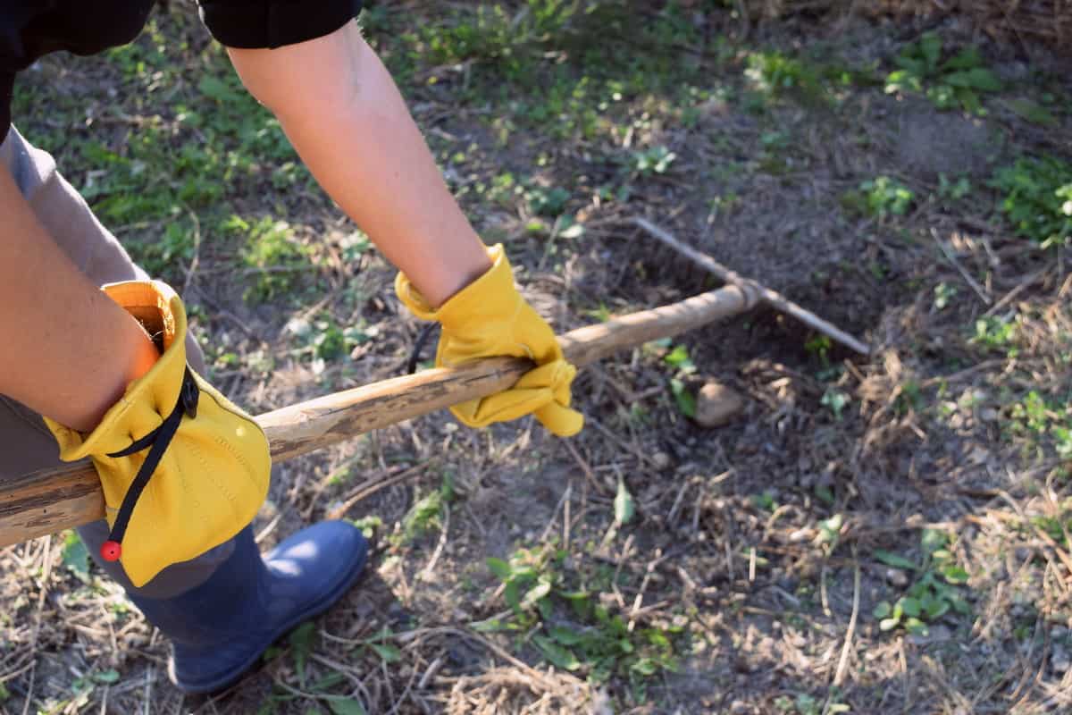 The Best Gardening Gloves For Women I Tested 5 Of The Most Popular