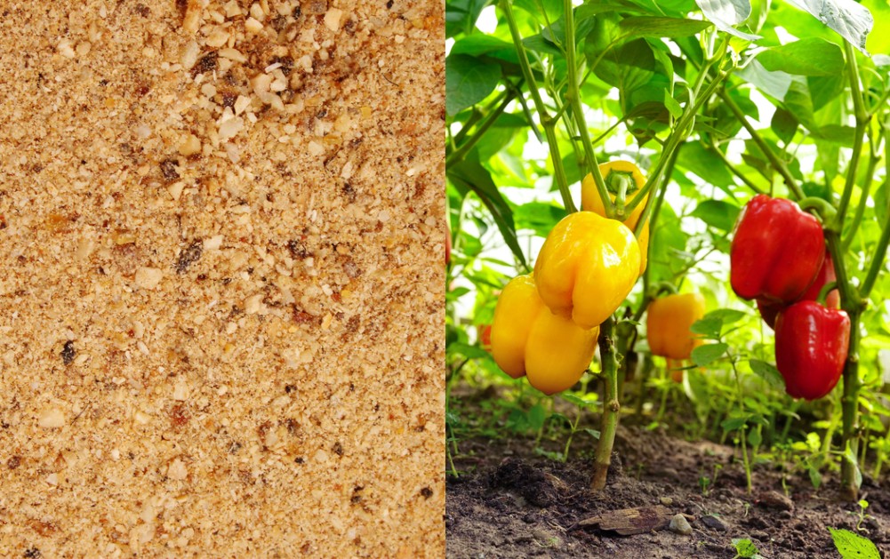 7 Reasons To Use Bone Meal Fertilizer In The Garden