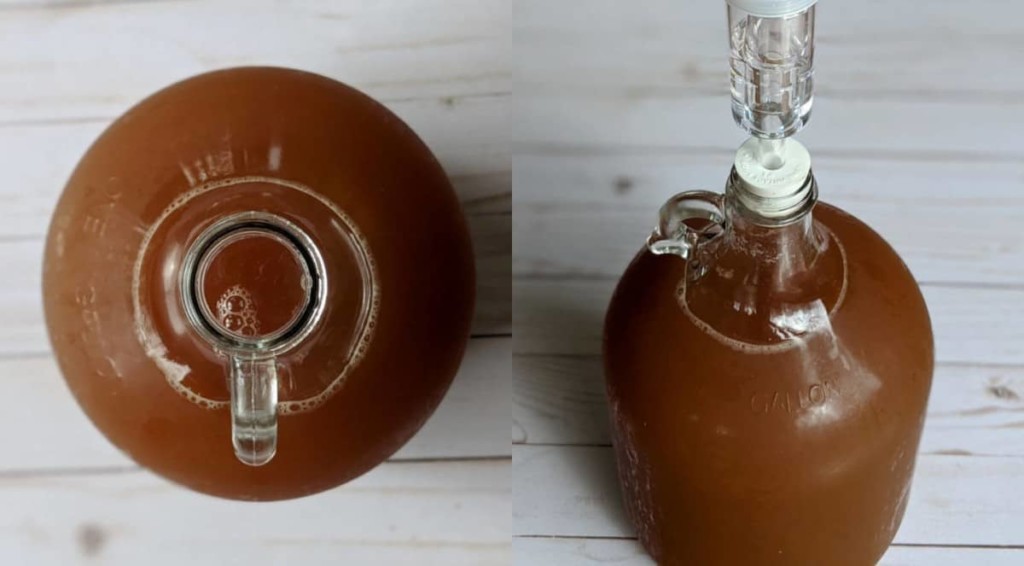 No-Fuss Hard Apple Cider - An Introduction to Homebrewing