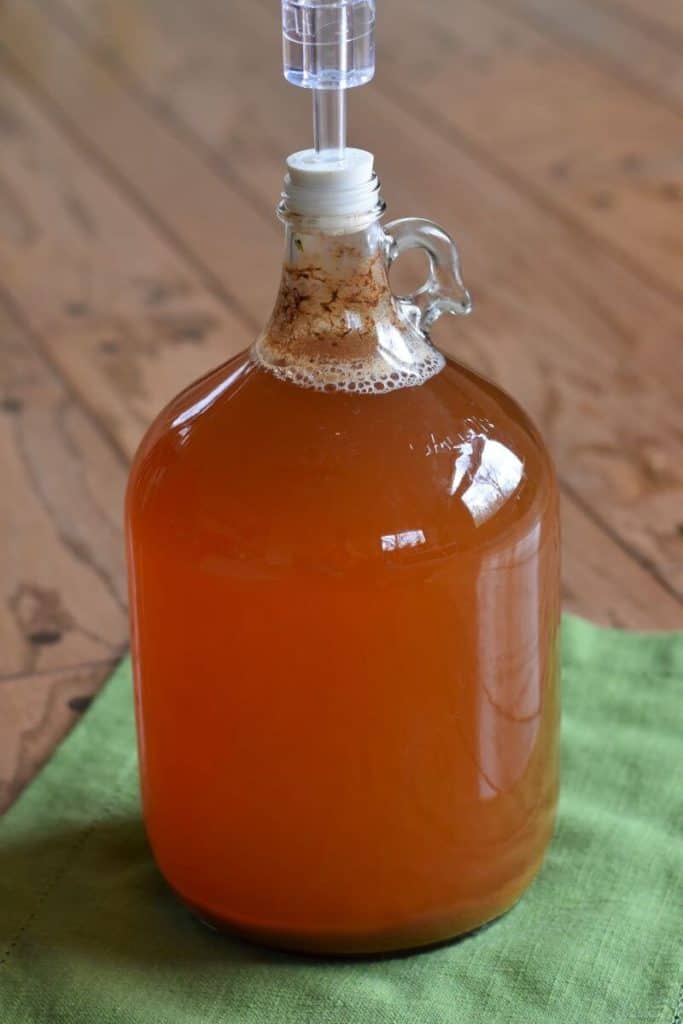 a one-gallon jug full of fermenting cider.