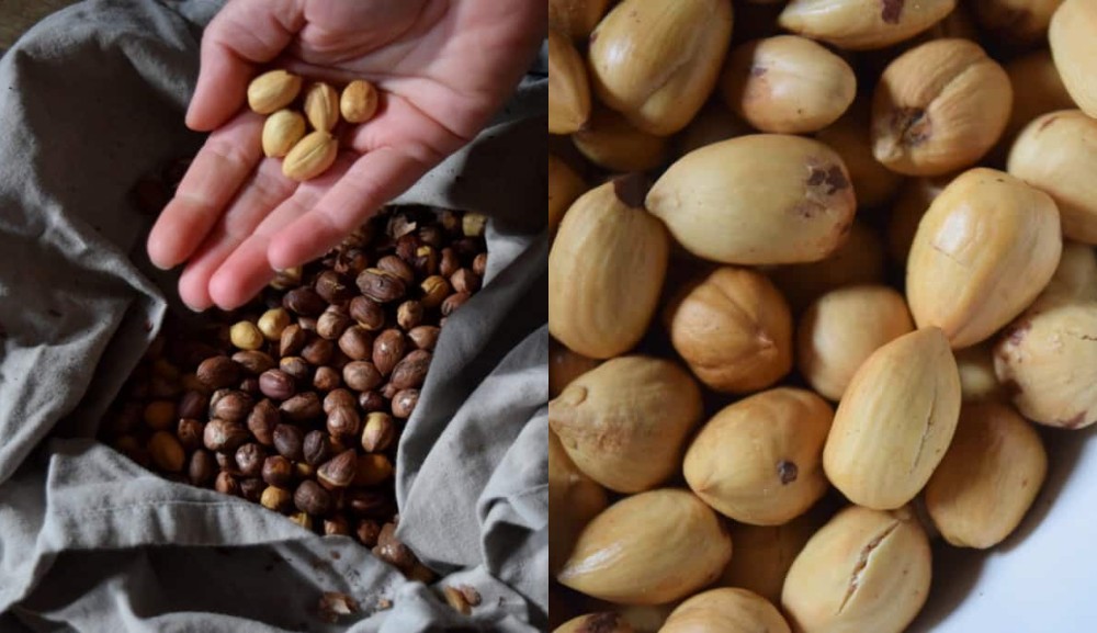 The Easiest Way to Bulk Peel Hazelnuts + 7 Ways to Use Them