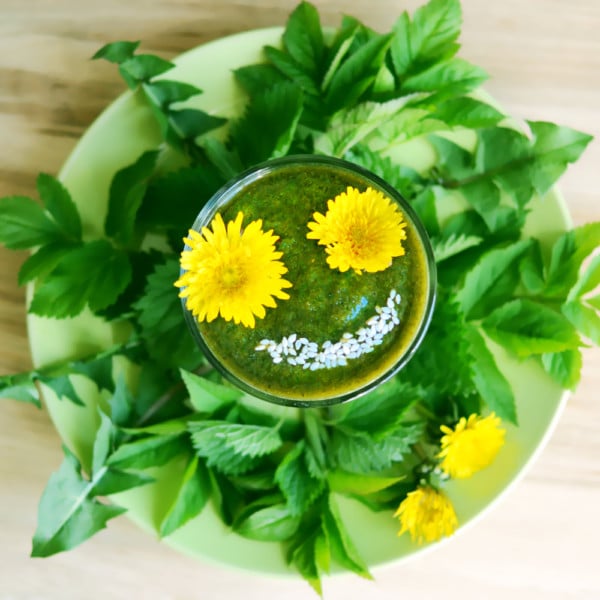 30 Edible Flowers You Can Eat Right Out Of Your Garden