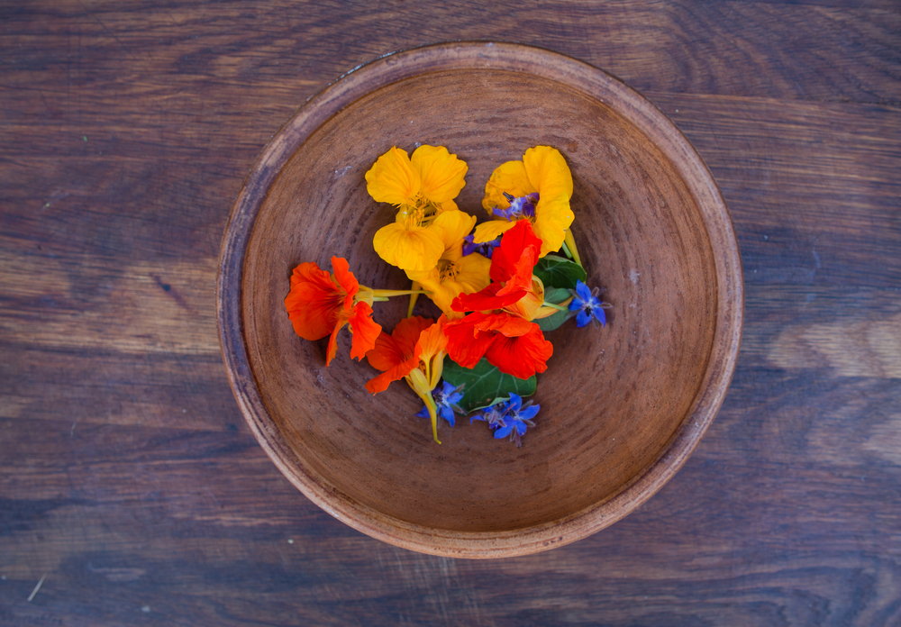 30 Edible Flowers You Can Eat Right Out Of Your Garden